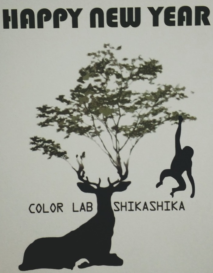 新潟県長岡市の美容室 COLOR LAB SHIKASHIKA | カラーラボシカシカ